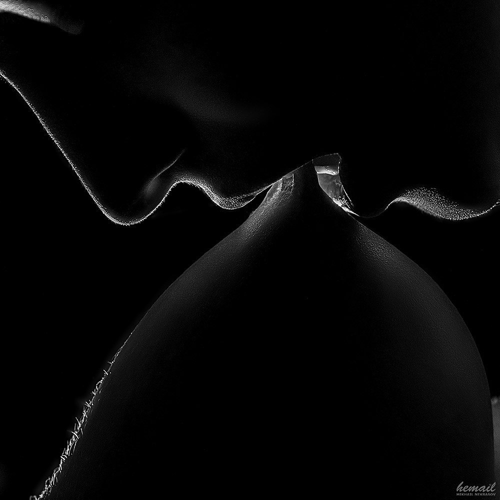 ОтNUдь-2015. Фотограф в жанре НЮ Некрасов Михаил (hemail)