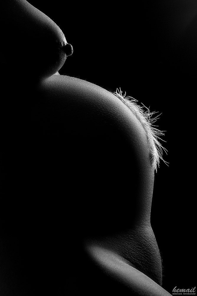Прекрасные линии!. Фотограф в жанре НЮ Некрасов Михаил (hemail)