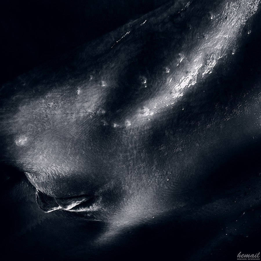 Nymphomania_2014. Фотограф в жанре НЮ Некрасов Михаил (hemail)