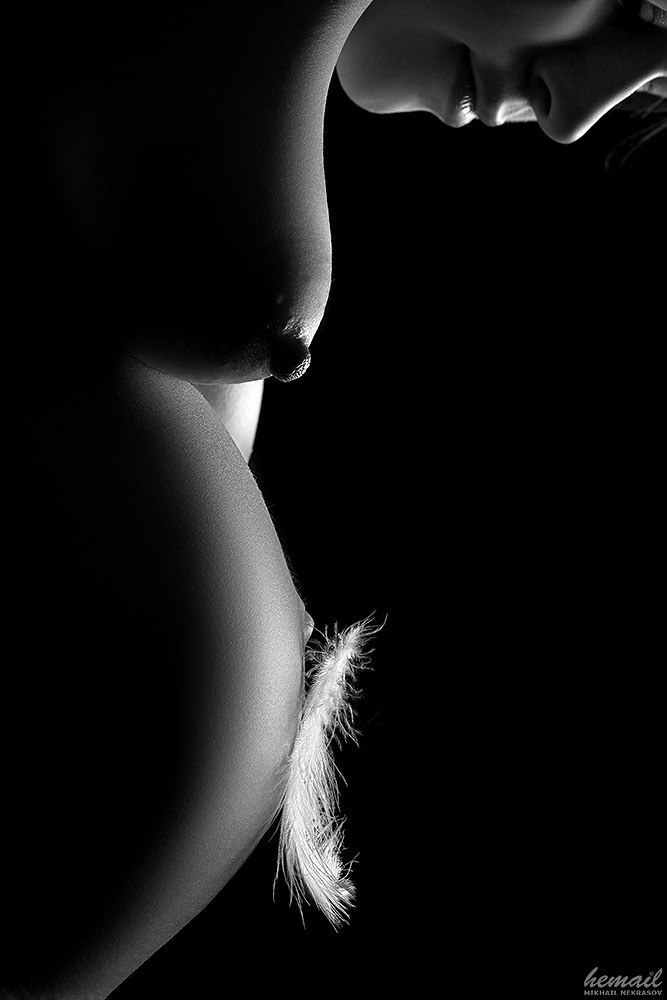 Прекрасные линии!. Фотограф в жанре НЮ Некрасов Михаил (hemail)
