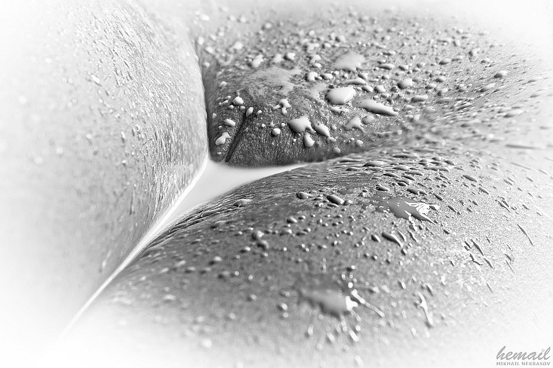 Intimate micro space. Ню арт, фото ню. nude, photo, ню фотограф, nude photographer, интимная