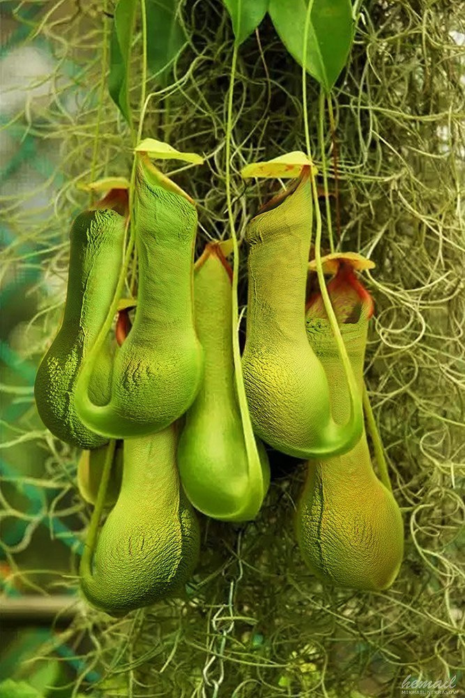 NUDE collage. Фотограф в жанре НЮ Некрасов Михаил (hemail)