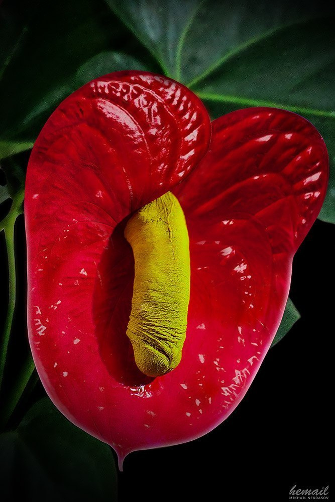 NUDE collage. Фотограф в жанре НЮ Некрасов Михаил (hemail)