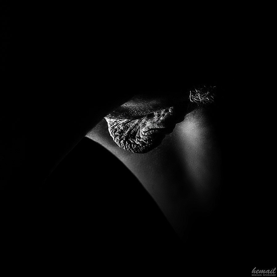 ОтNUдь-2014. Фотограф в жанре НЮ Некрасов Михаил (hemail)