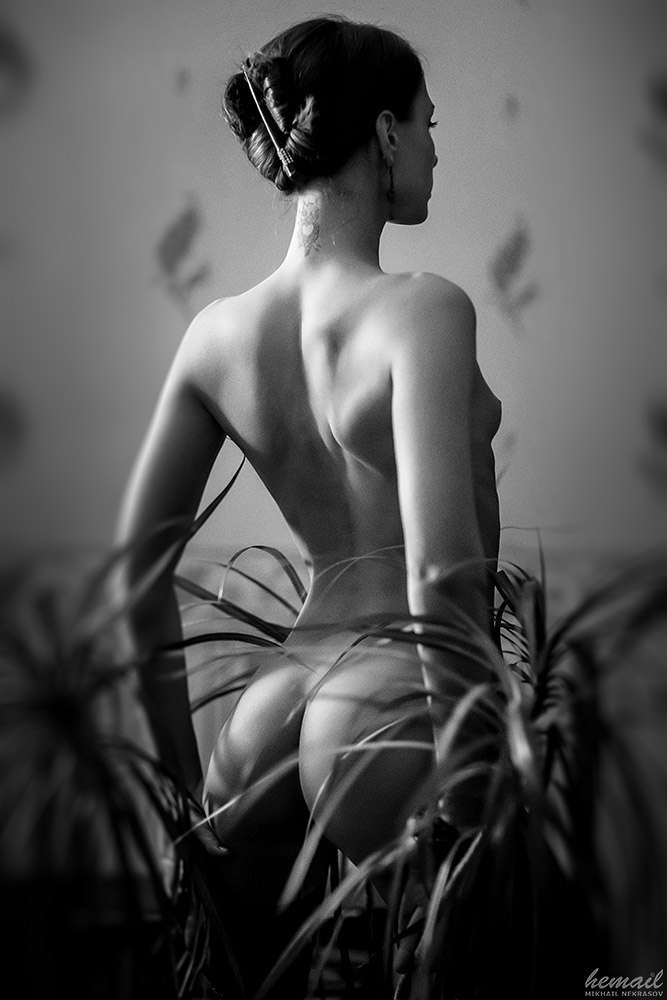 Nymphomania_2014. Фотограф в жанре НЮ Некрасов Михаил (hemail)