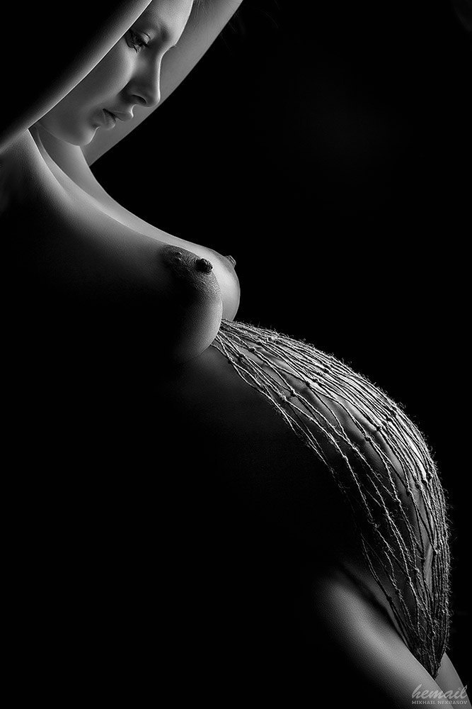 Прекрасные линии!. Фотограф в жанре НЮ Некрасов Михаил (hemail)