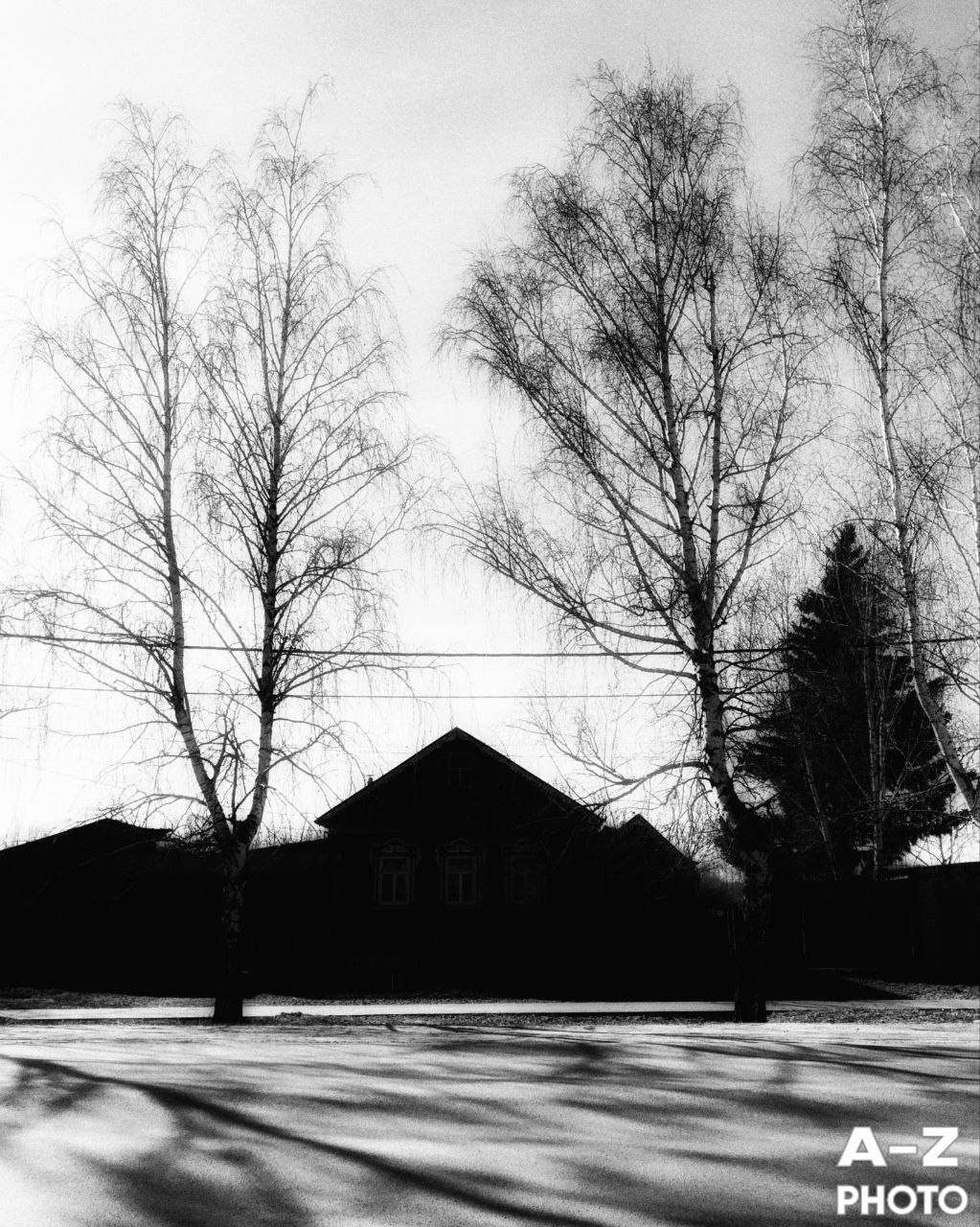 #ФОТОНЕДЕЛИ 20.04.2026. Женский семейный фотограф Тула Москва Захарова Анна