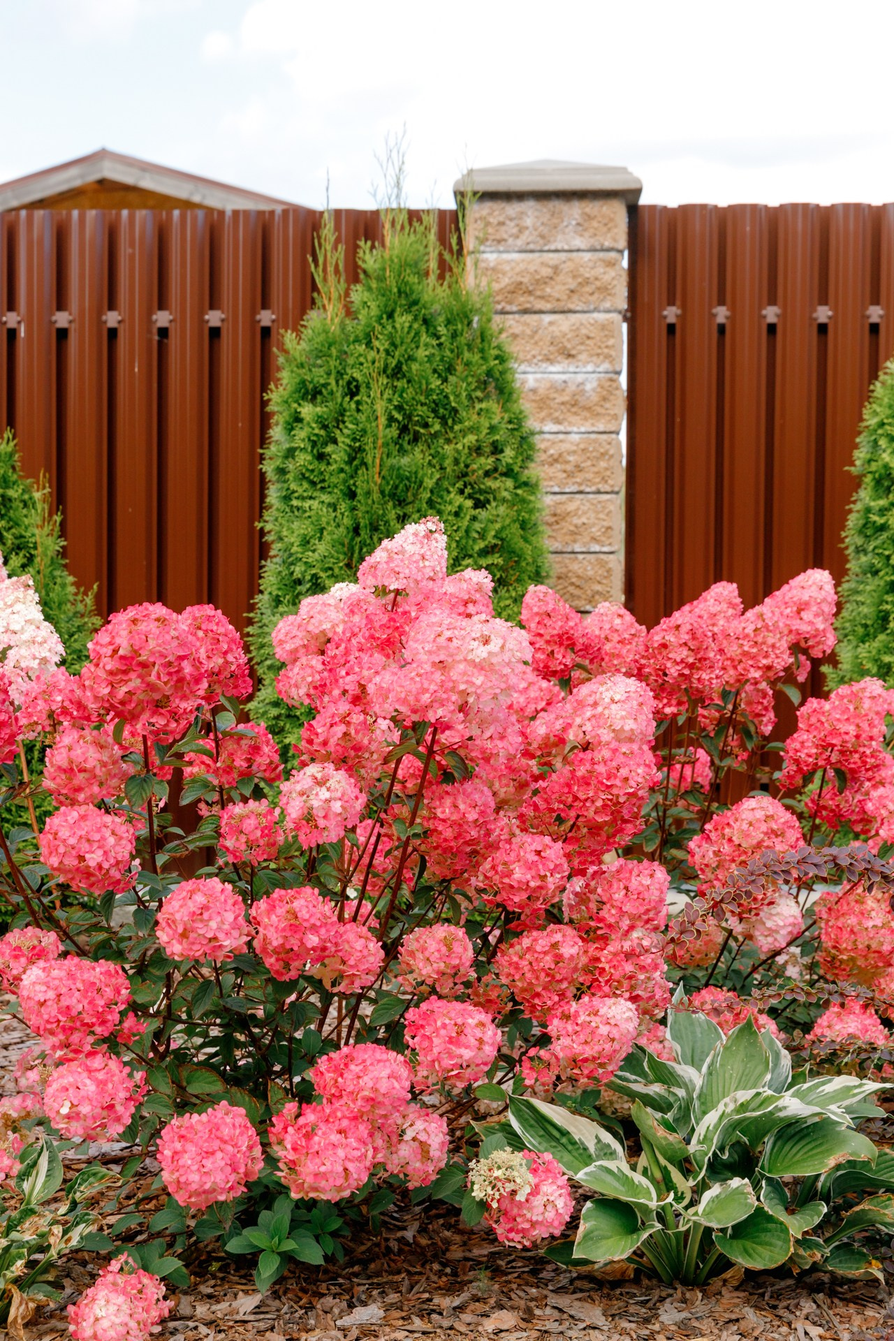 Загородный дом. Ландшафтный дизайн. Репортажный фотограф в Санкт-Петербурге Жолудев Владислав