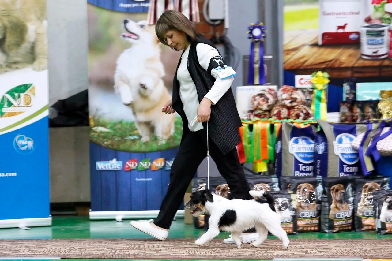 Port Fortis Destiny Of Love