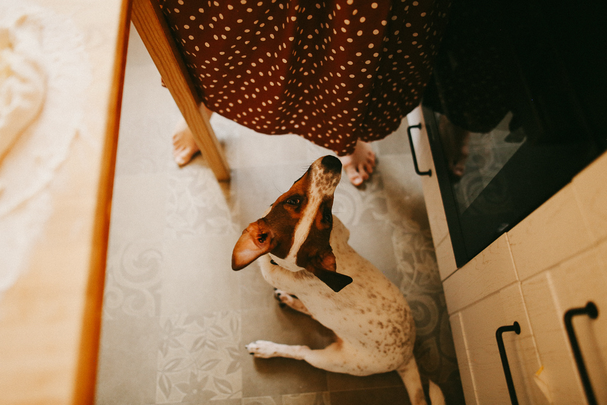 Да будет снег. Соня Черных (sophieblack)