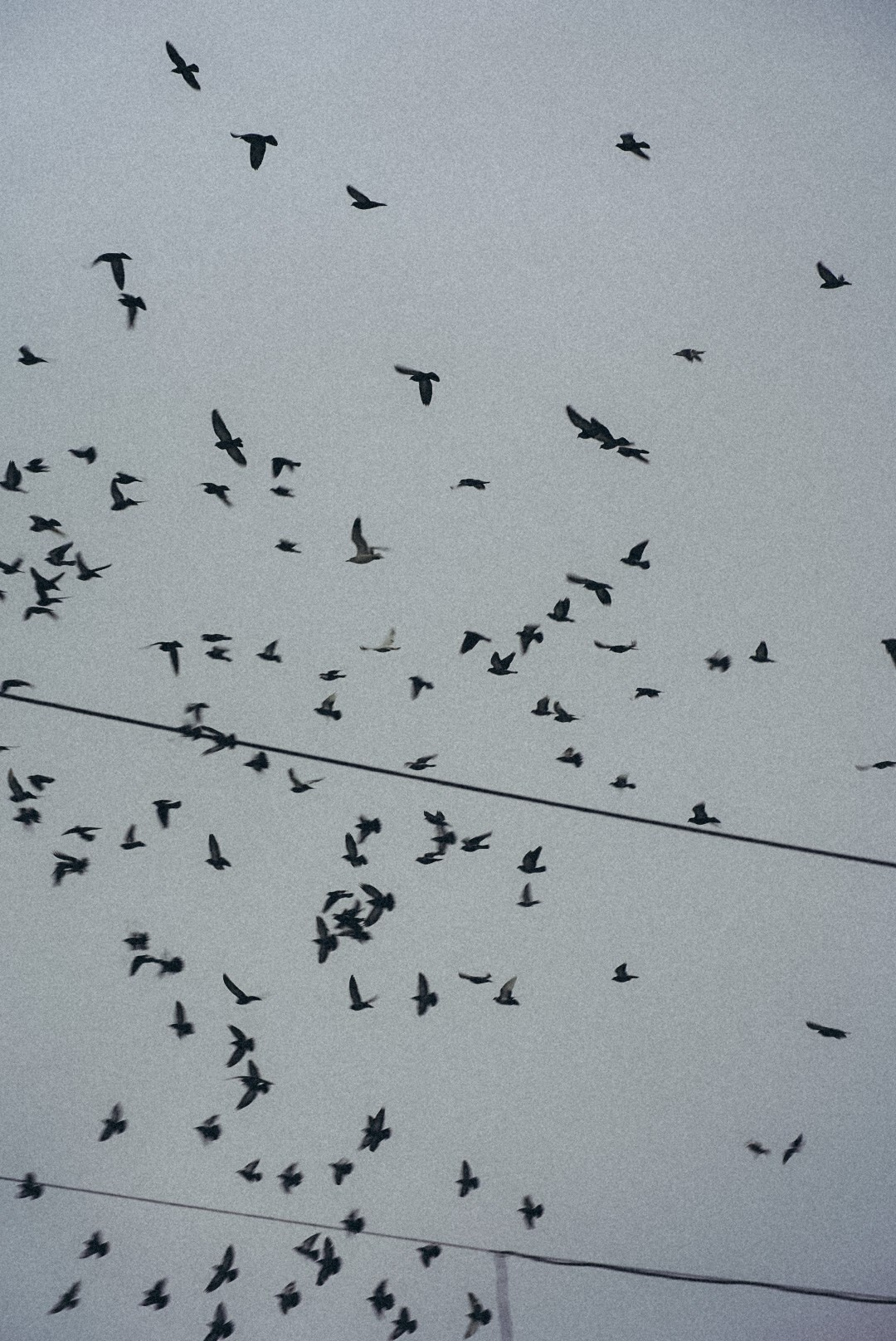 Street. Семейный фотограф в Казани Александра Киселева