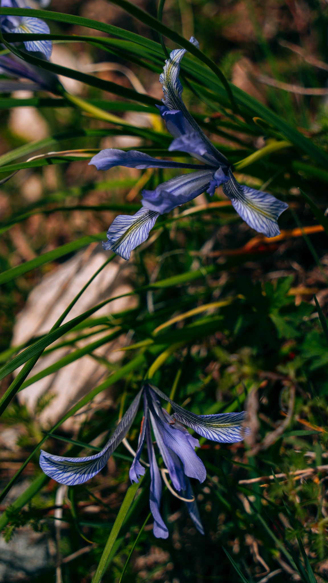 Кыргызстан. Человек с фотокамерой