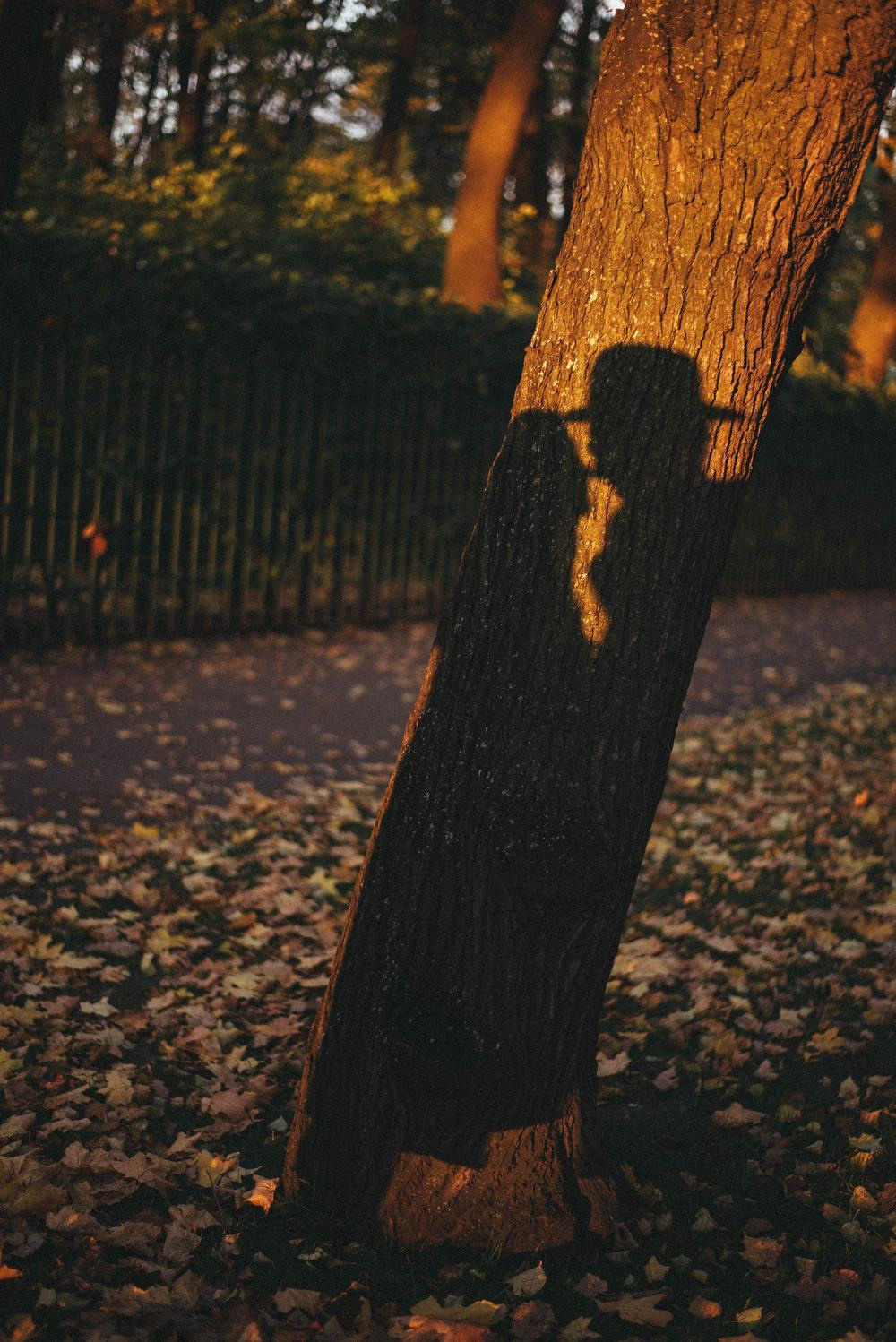 Осенний день. Семейный, свадебный и лавстори фотограф в Архангельске