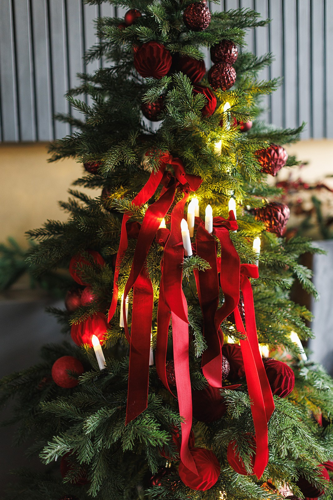 Новогодние фотосессии. Семейный фотограф Екатерина Шустрова Москва и Одинцово