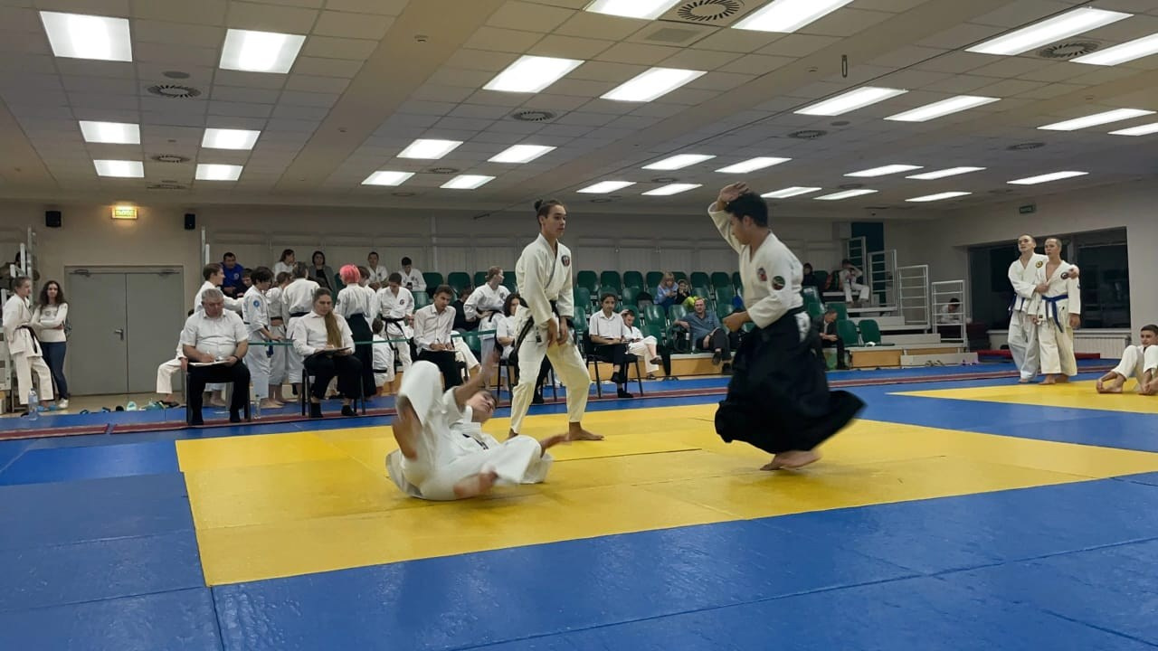 Галлерея. АйкидоТатарстан