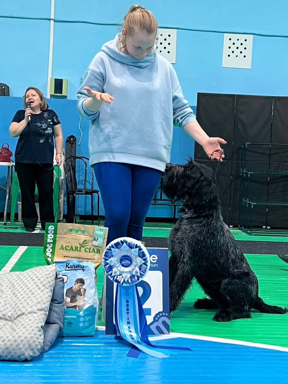 Выставки. Главная