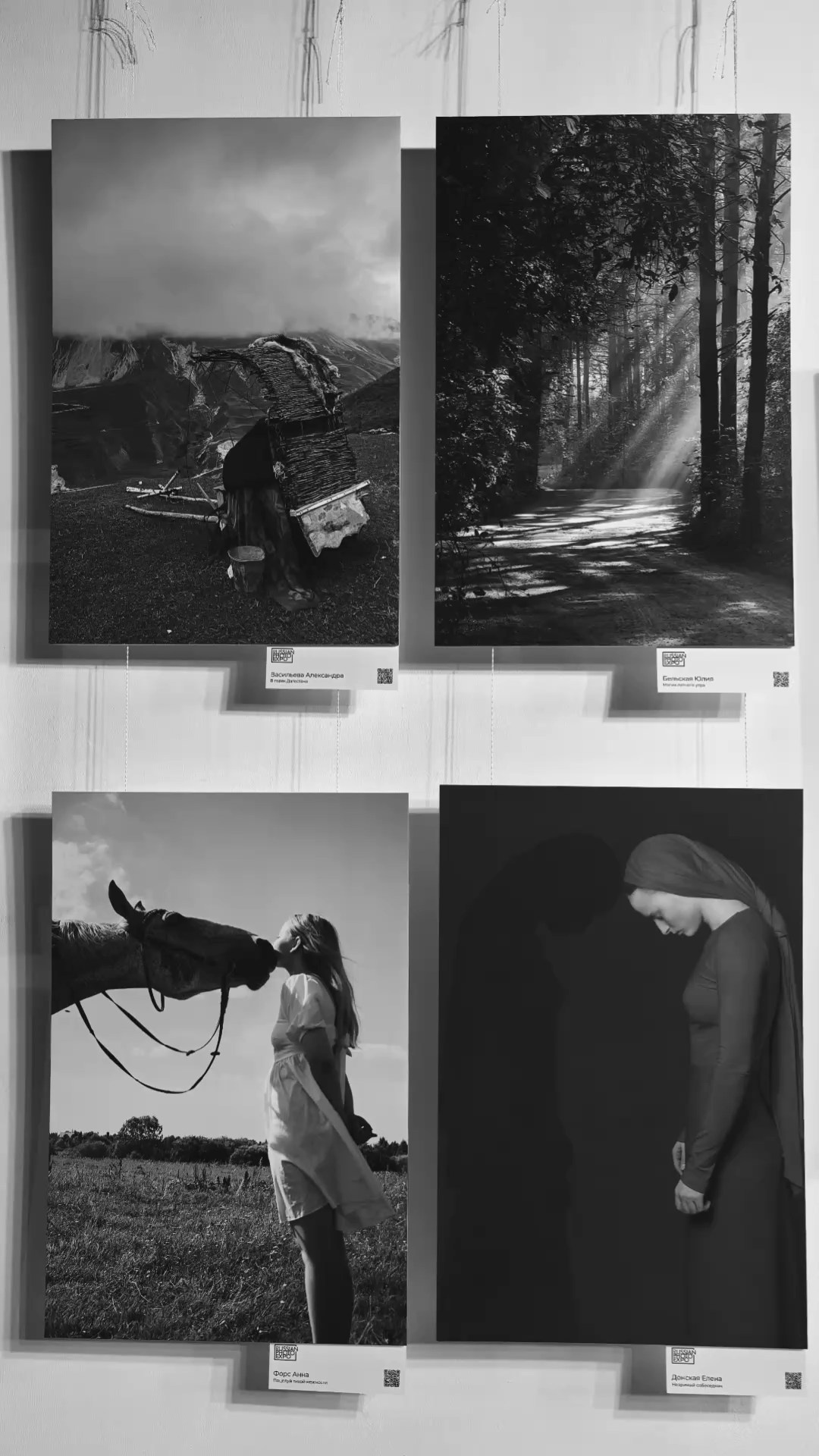 Photo Exhibitions — Anna Fors | France (Paris), USA (New York) & Russia