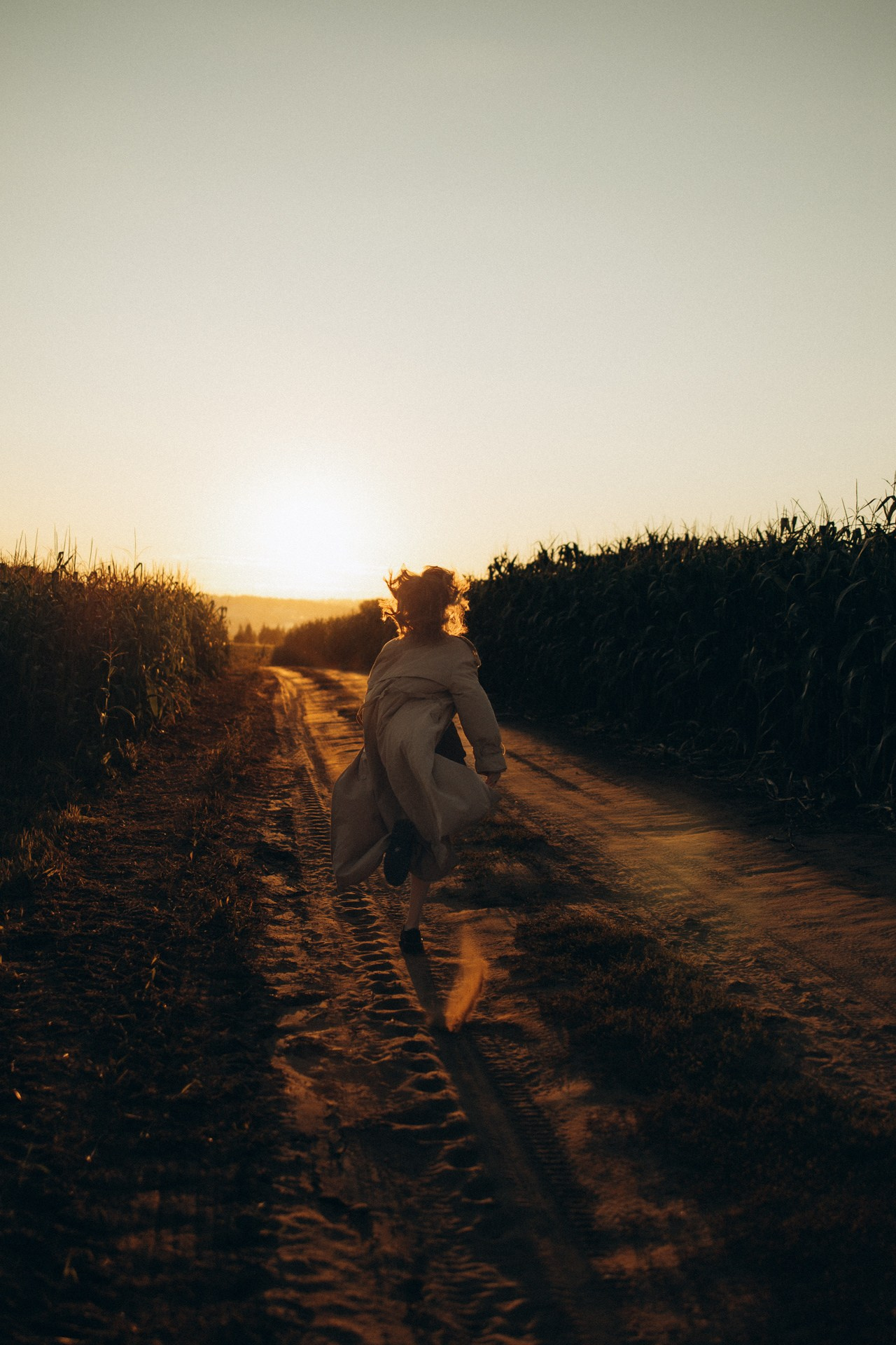 Фотосессия в кукурузном поле. Кристина. Семейный фотограф в Ижевске Даша Денисова