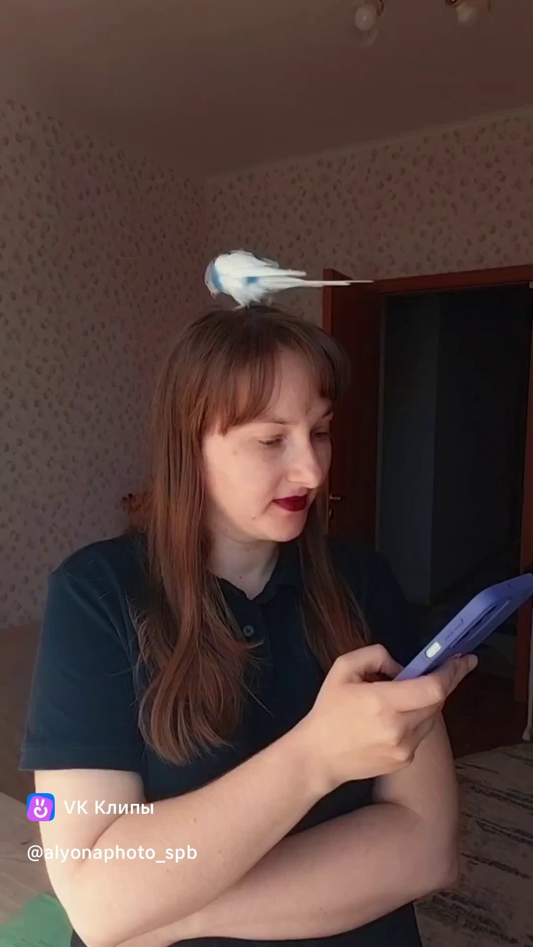Отзывы