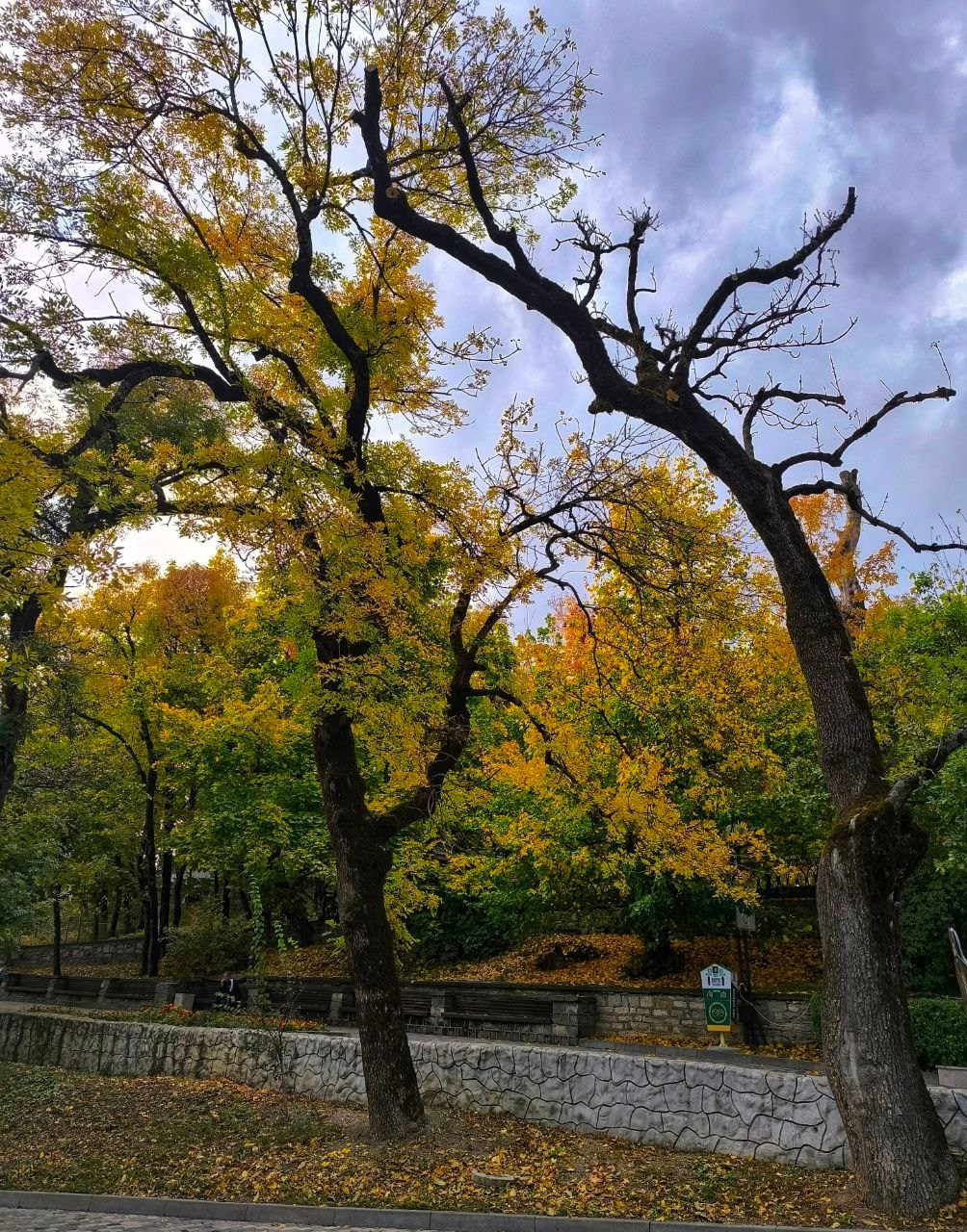 Фотосайт Андрея Прокопенко