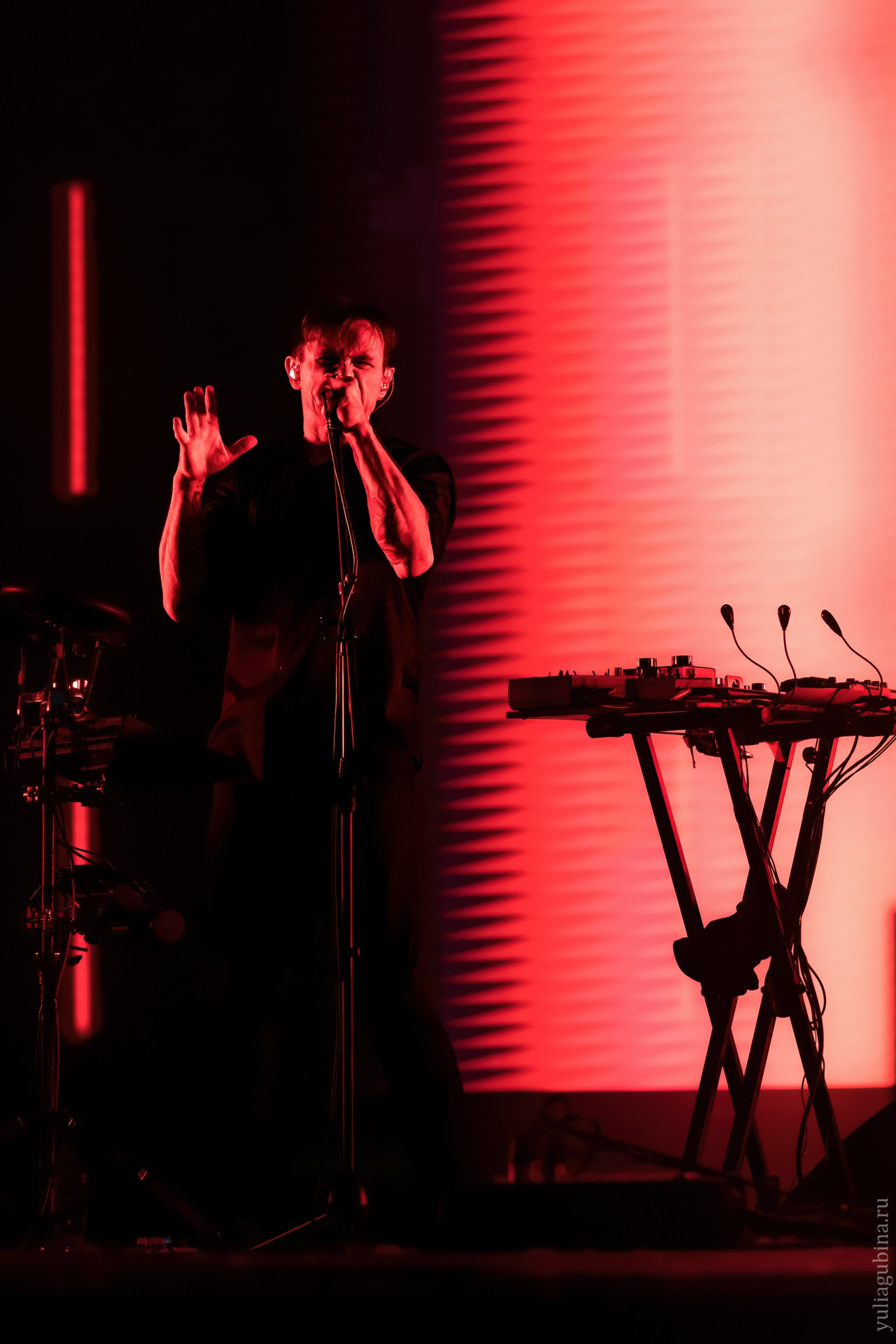 Дельфин, 09.06.24, Зеленый театр, Red Summer