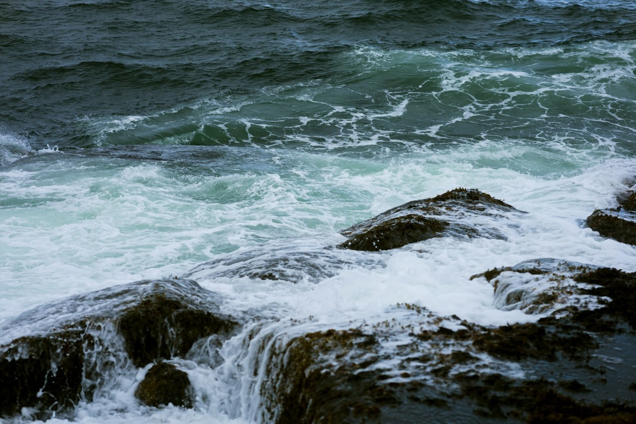 Териберка 2025. Фотограф Михаил Олейник