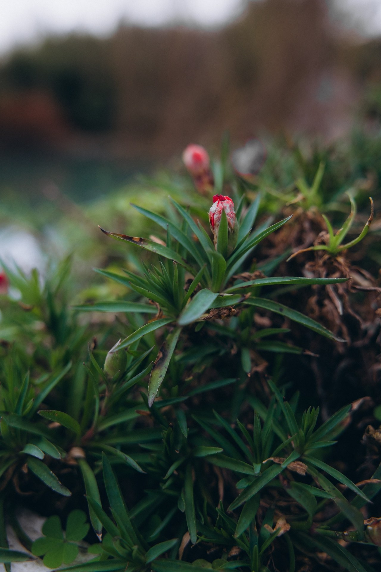 Отзывы. Семейный и детский фотограф в Москве Таня Лисицкая
