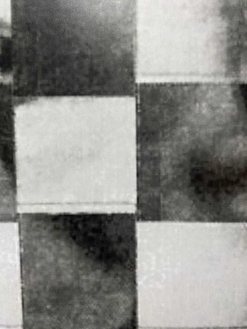 «Генетический код». Лилия Ким. Междисциплинарный художник