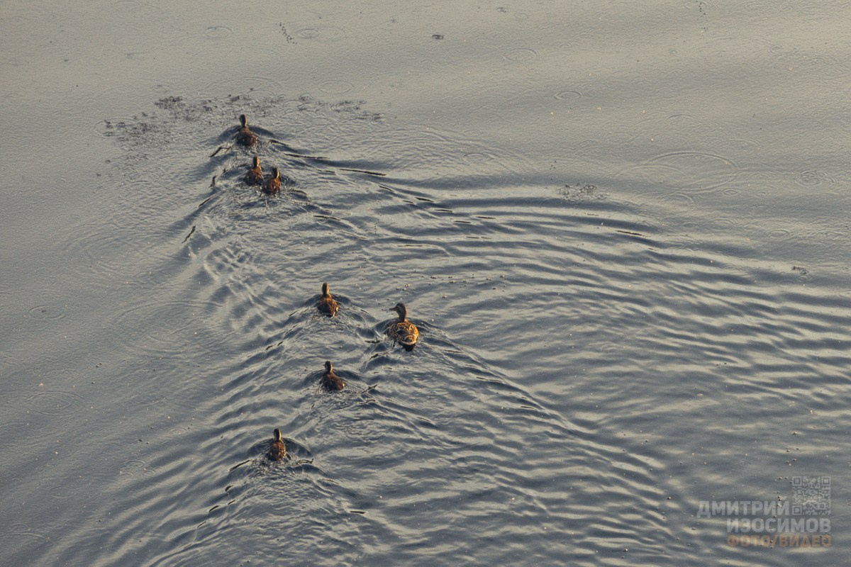 ЖК «Правобережный»