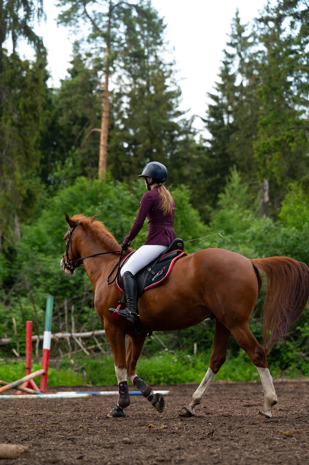 Конюшня. Мир живой фотографии о Вас и для Вас