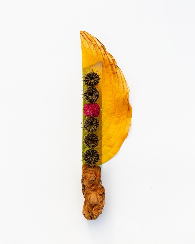 Острые предметы. Фотографии Саши Любина