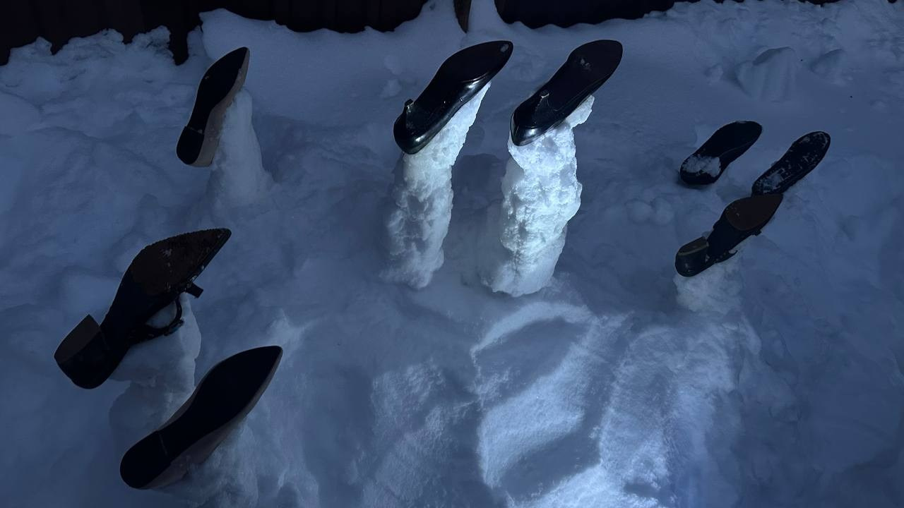 «Хроники холода» 2020. Лилия Ким. Междисциплинарный художник