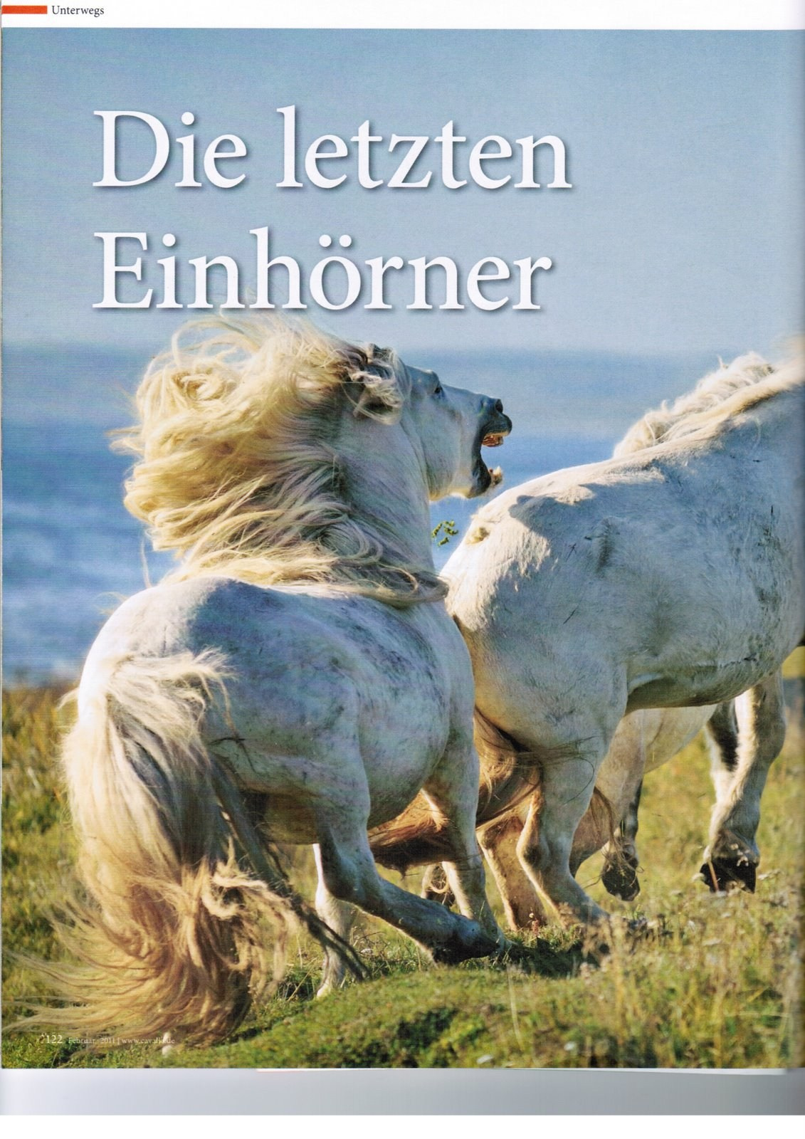 Публикации. Лана Петрова, фотограф