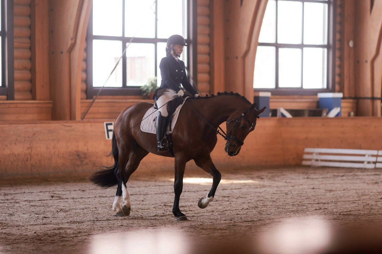 Зимние соревнования. Фотосессии с лошадьми