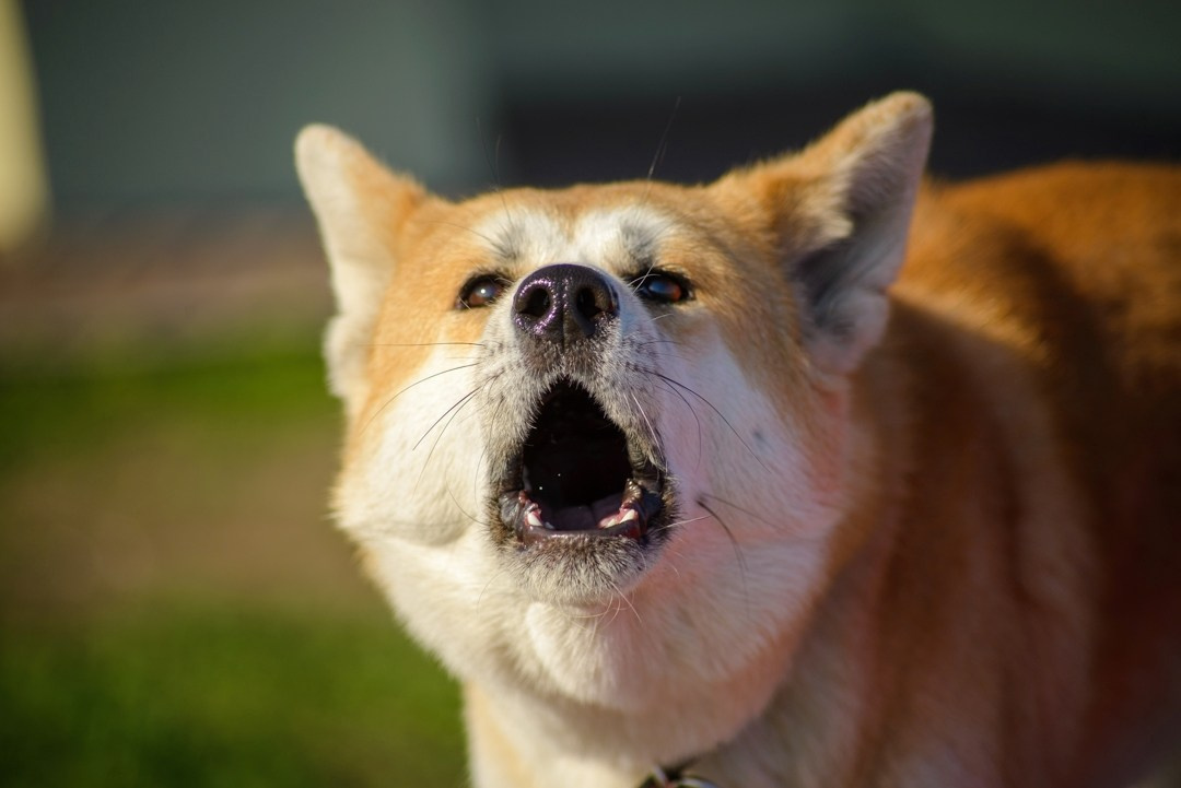 Street. Фотограф в городе Омске Константин Зоткин