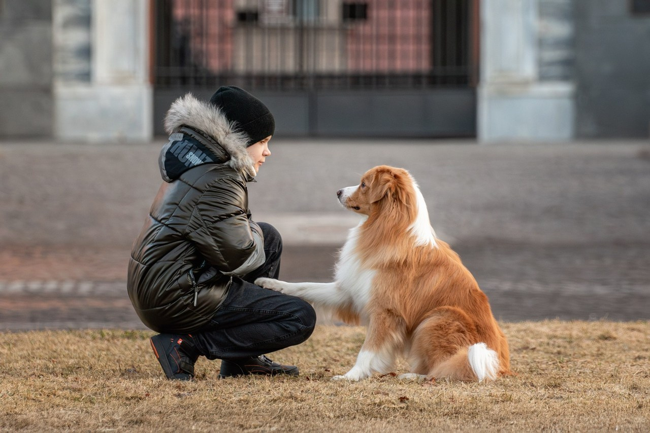 Отзывы. Фотограф-анималист Юлия Зубкова