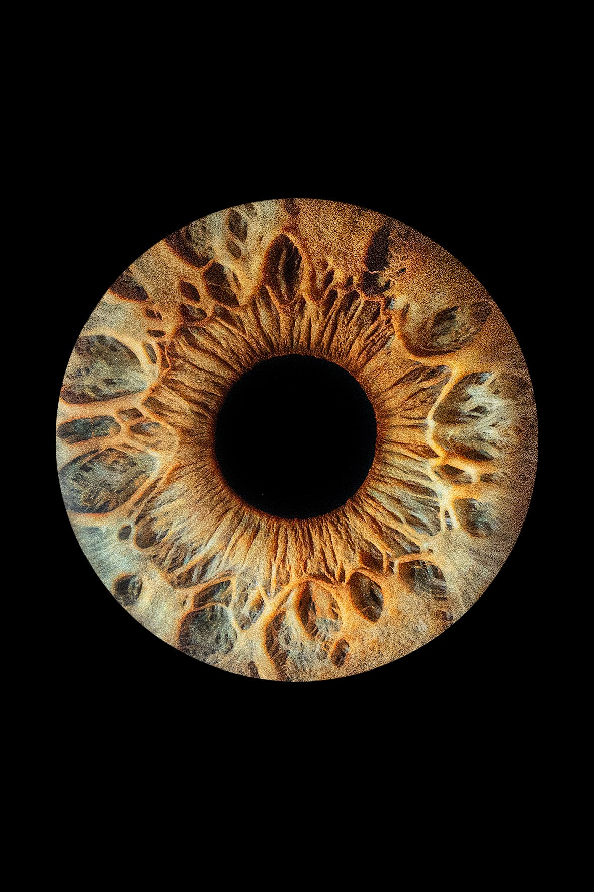 Примеры работ. Мой глаз