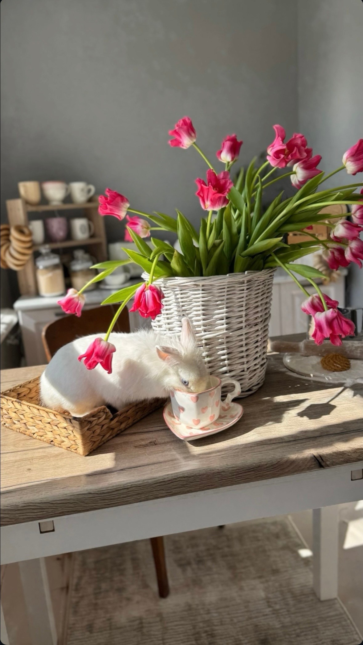 Кухня. Фотостудия Натальи Забродской