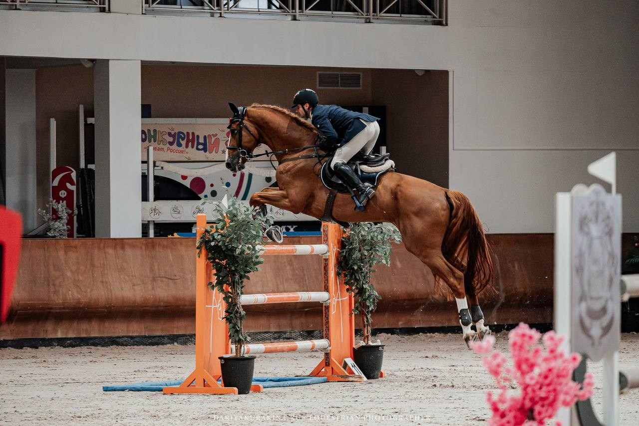 ВСЕРОССИЙСКИЕ СОРЕВНОВАНИЯ ПО КОНКУРУ НА ПРИЗЫ КСК ВИВАТ, РОССИЯ!. Куракина Дарья • Конный фотограф