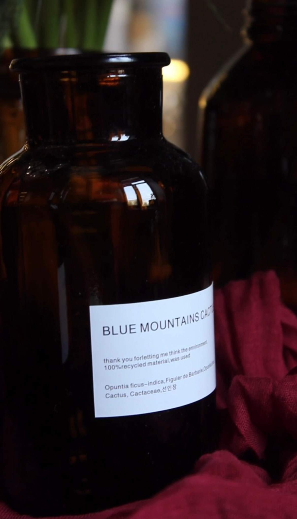 Мастер-классы. ЛЮБИМЫЕ ЦВЕТЫ