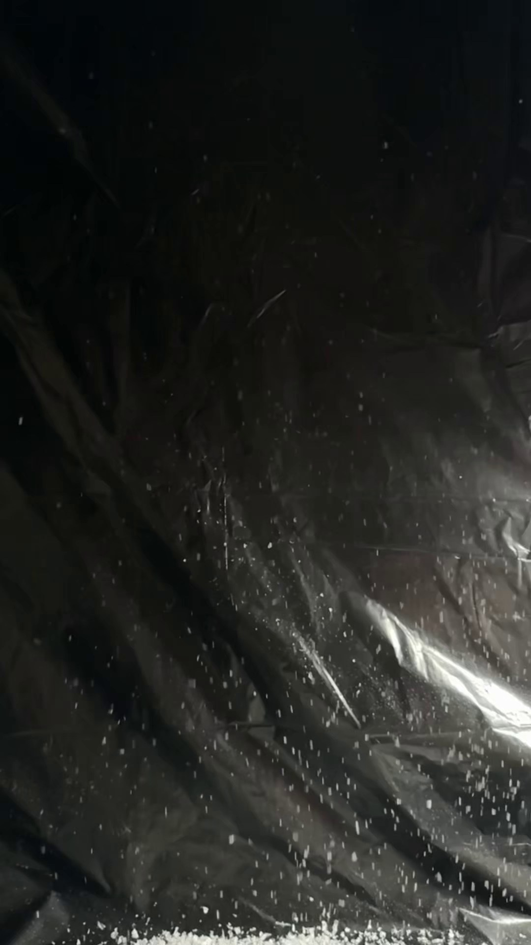 Фотосушка + видеоарт 19.12.2025. ARTEXPOPHOTO