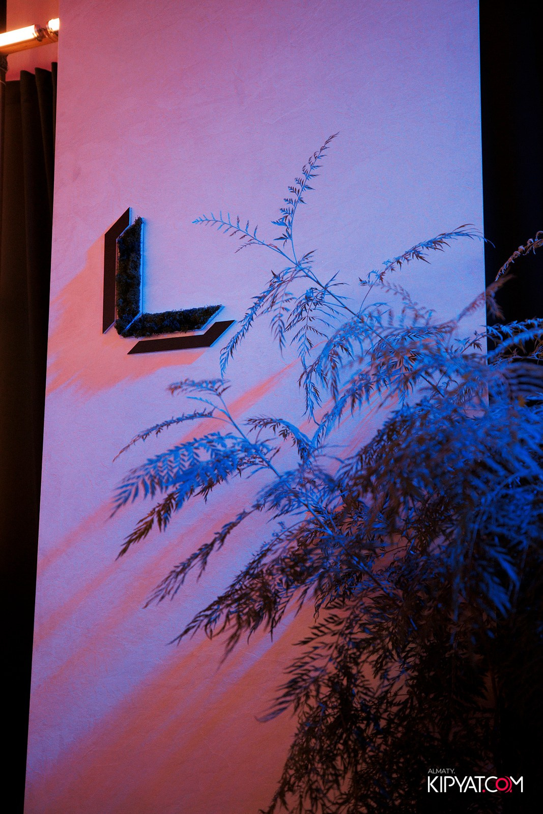 TRADITIONAL DESIGN DINNER 2025. КИПЯТКОМ АЛМАТЫ!