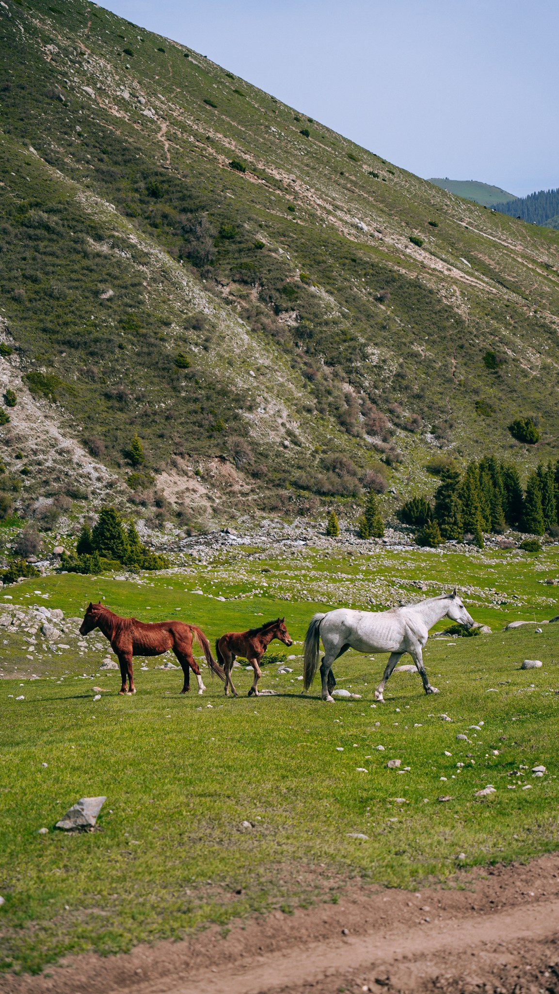 Кыргызстан. Человек с фотокамерой