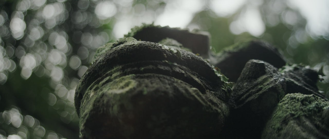 KAMIKAKUSHI (feature film)