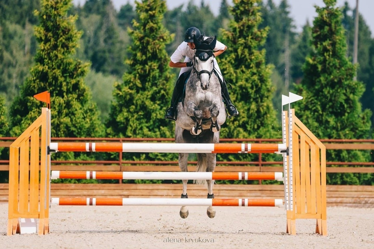 Летние соревнования. Фотосессии с лошадьми