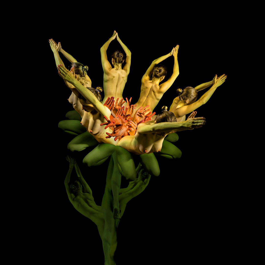 Продажа принтов. Фотограф Александра Тимофеева