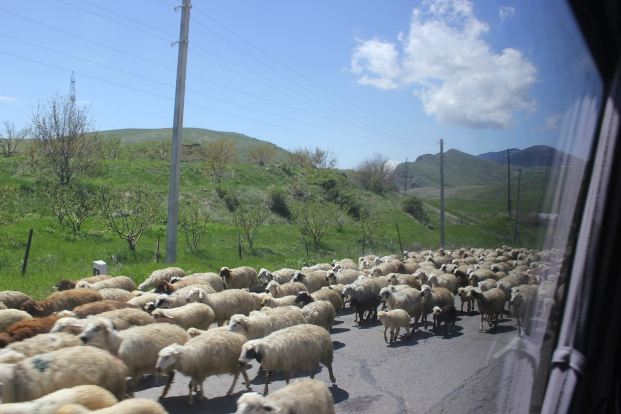 Путешествие в Азербайджан, Грузию и Армению | 01-09.05.2015. Галерея Фантим