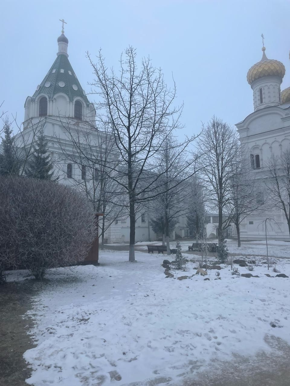 Кострома | 08-09.02.2025. Галерея Фантим