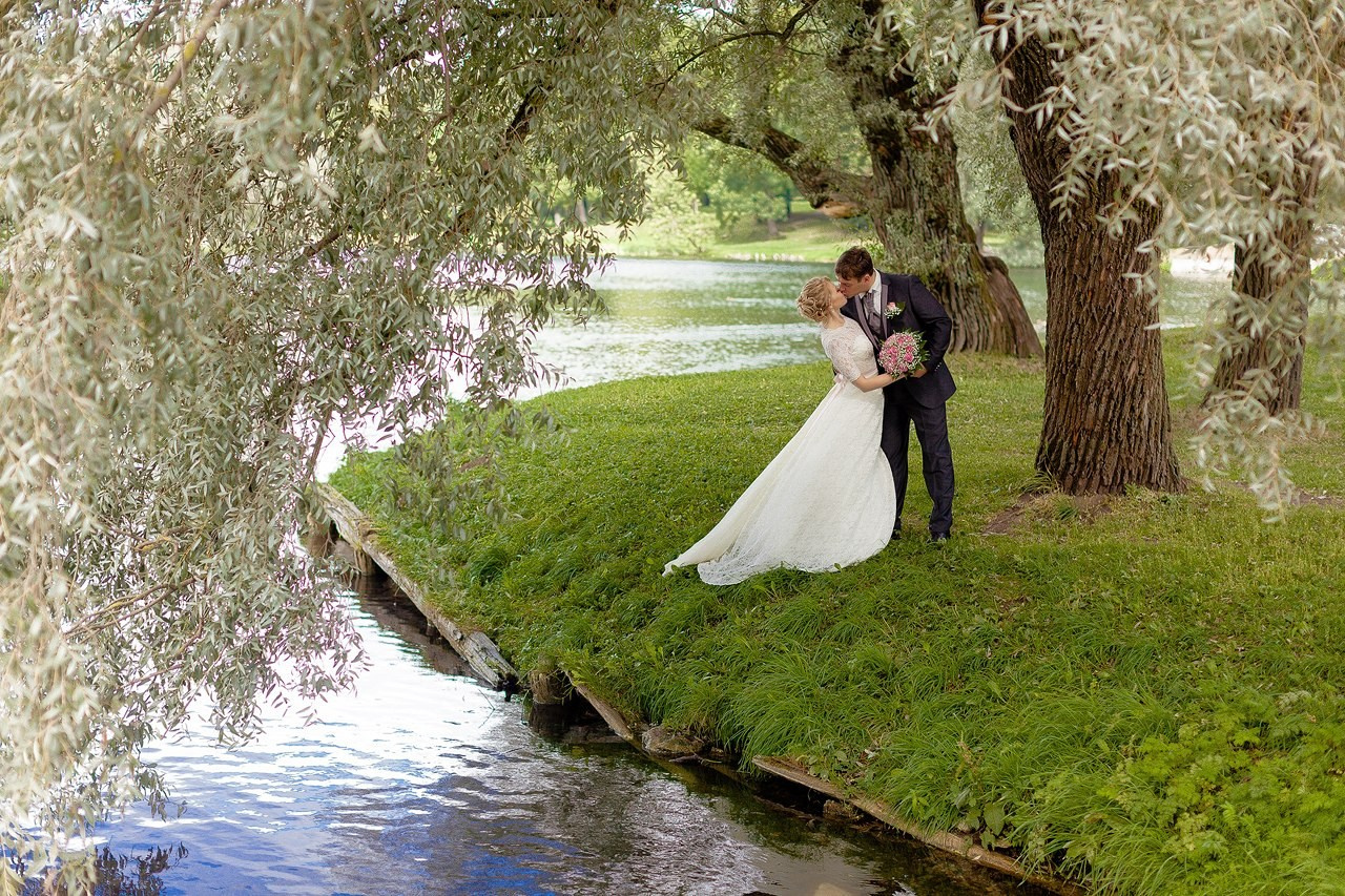 молодожены под ветками пышной ивы на берегу пруда в Гатчине