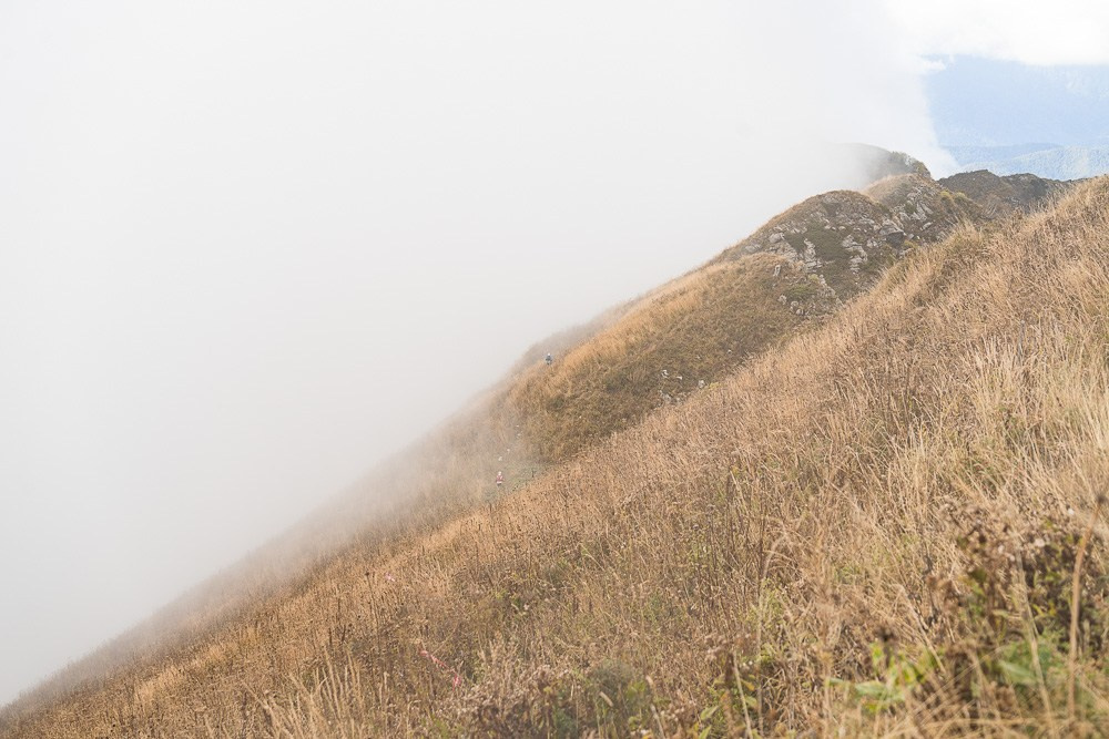 Трейловый бег «Альпиндустрия. Три курорта''. Репортажный фотограф в Красной Поляне и Сочи Павлюченко Екатерина